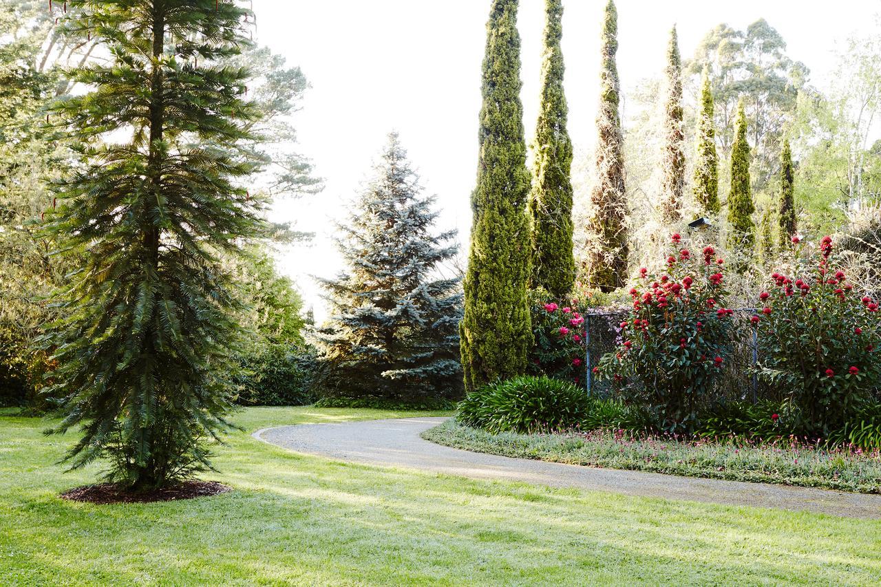 Pensjonat Beechmont Garden Retreat Olinda Zewnętrze zdjęcie