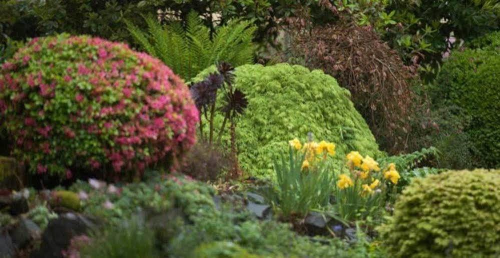 Pensjonat Beechmont Garden Retreat Olinda Zewnętrze zdjęcie