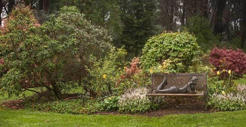 Pensjonat Beechmont Garden Retreat Olinda Zewnętrze zdjęcie