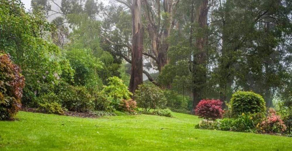 Pensjonat Beechmont Garden Retreat Olinda Zewnętrze zdjęcie