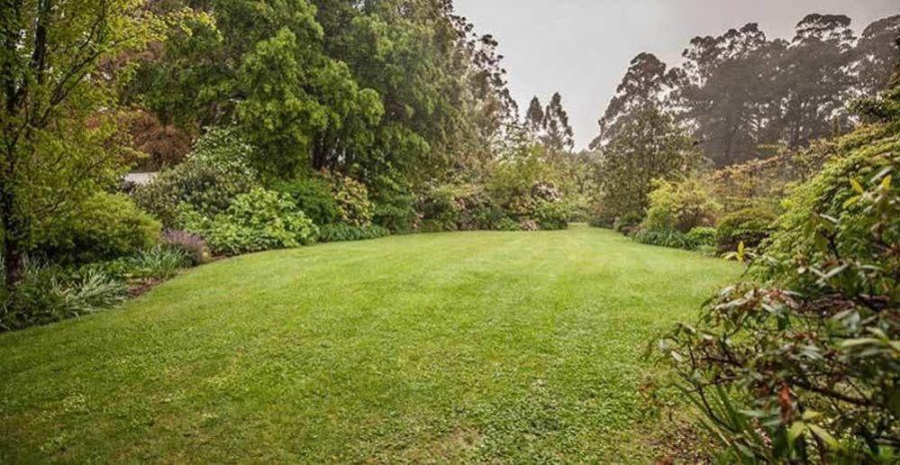 Pensjonat Beechmont Garden Retreat Olinda Zewnętrze zdjęcie