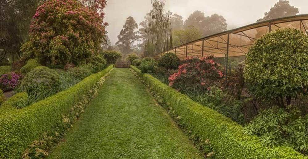 Pensjonat Beechmont Garden Retreat Olinda Zewnętrze zdjęcie