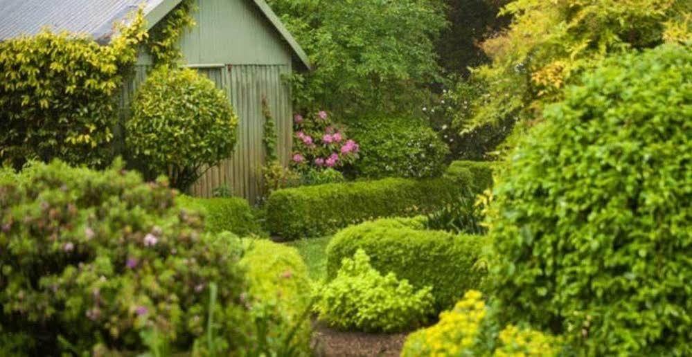 Pensjonat Beechmont Garden Retreat Olinda Zewnętrze zdjęcie