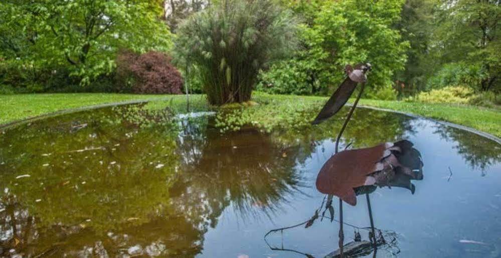 Pensjonat Beechmont Garden Retreat Olinda Zewnętrze zdjęcie