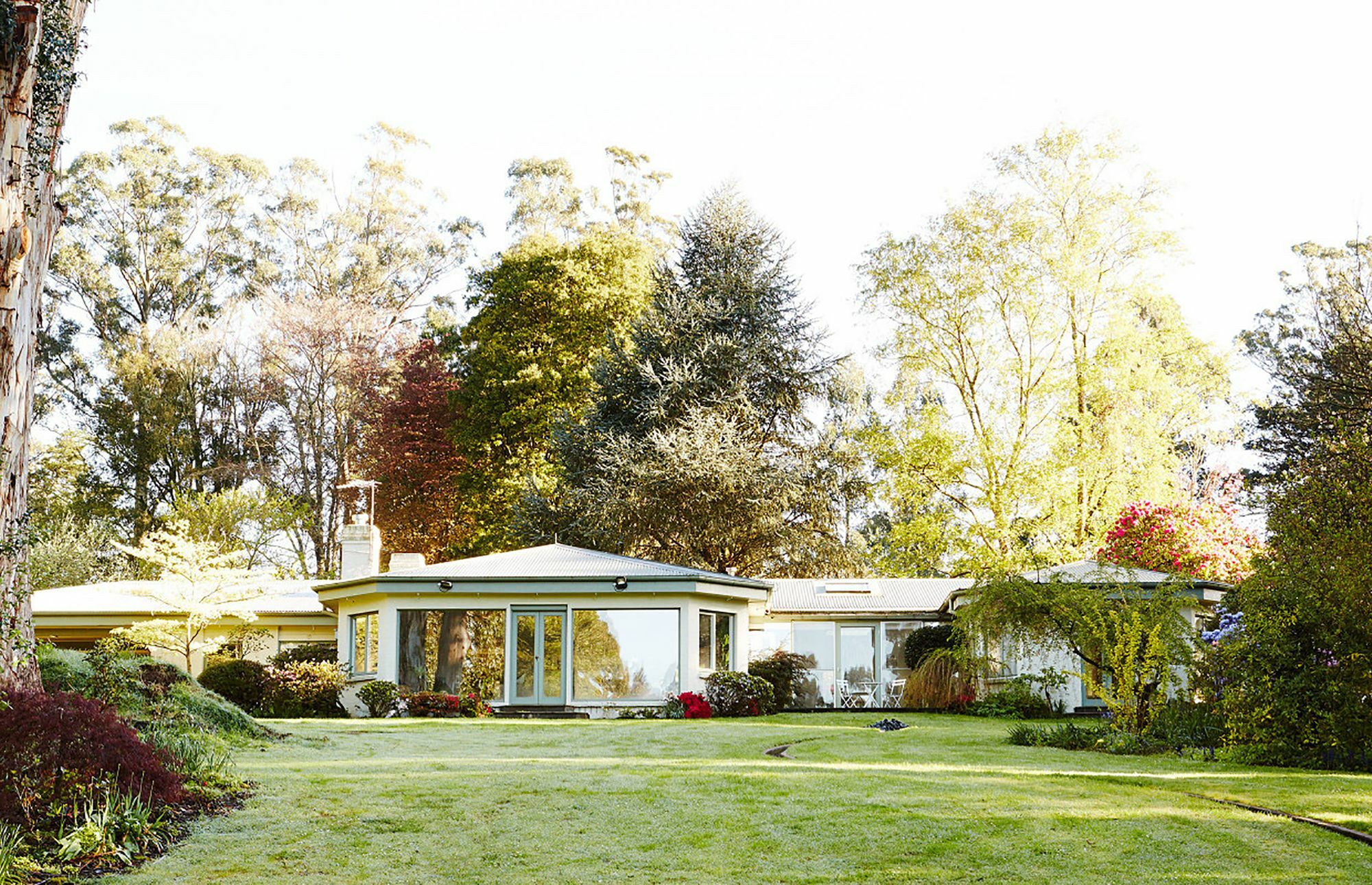 Pensjonat Beechmont Garden Retreat Olinda Zewnętrze zdjęcie
